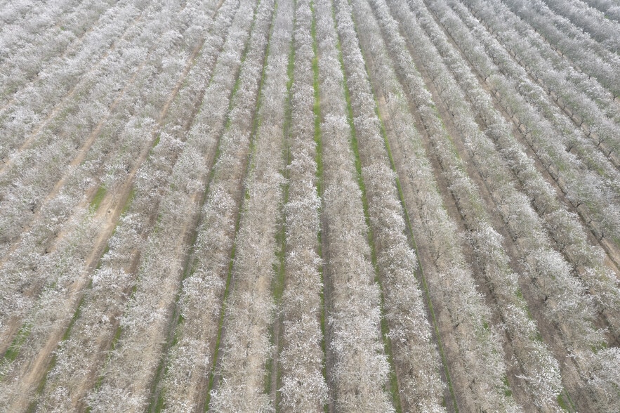 Golden State Hwy, Madera, CA for sale - Building Photo - Image 2 of 9