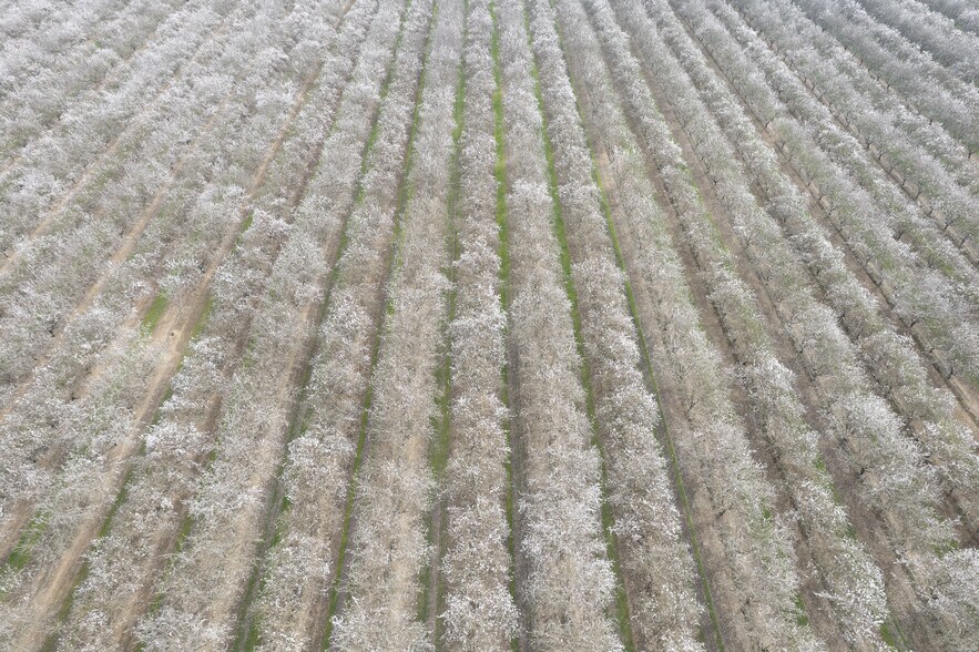 Golden State Hwy, Madera, CA à vendre - Photo du bâtiment - Image 2 de 9