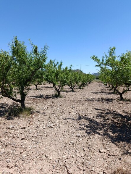 Land in Cehegín, Murcia for sale - Aerial - Image 2 of 5