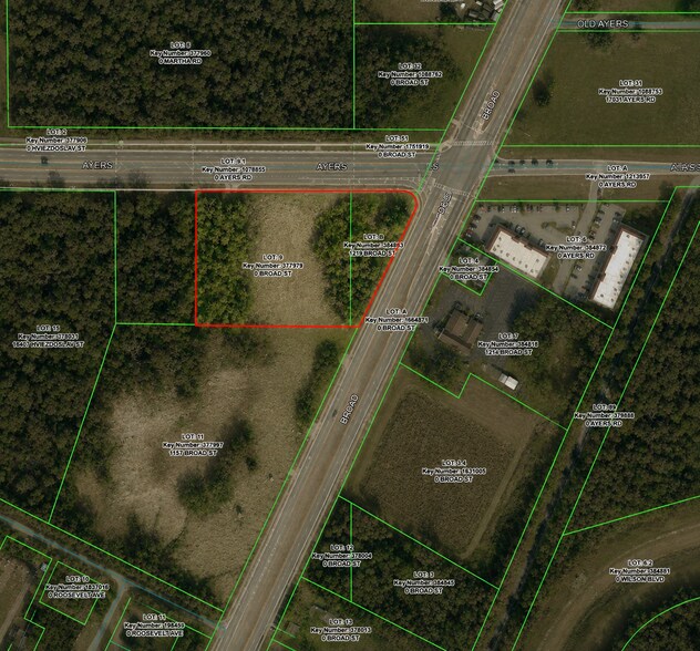 1219 Broad St, Brooksville, FL à vendre - Photo du bâtiment - Image 2 de 3