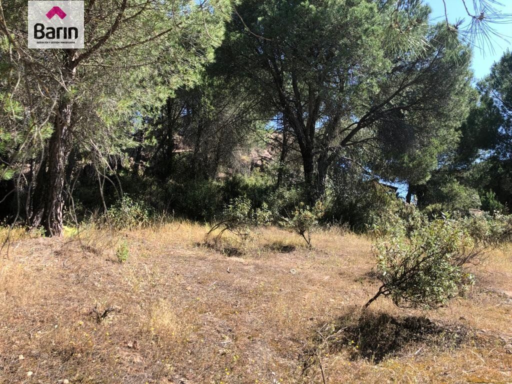 Land in Córdoba, Córdoba for sale Primary Photo- Image 1 of 4