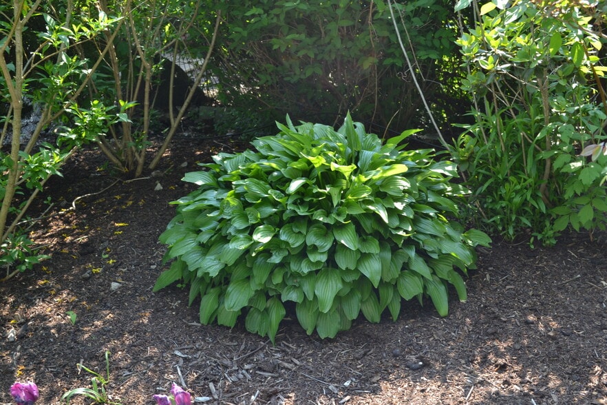 Payne & Hartrey St, Evanston, IL for sale - Other - Image 3 of 6