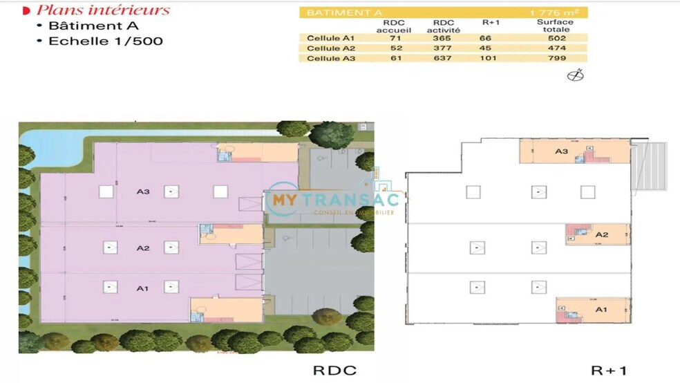 Local d'activités dans Bondoufle à vendre - Plan d’étage - Image 2 de 6