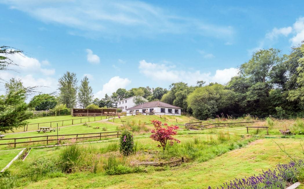 And Land, South Petherwin for sale Primary Photo- Image 1 of 2