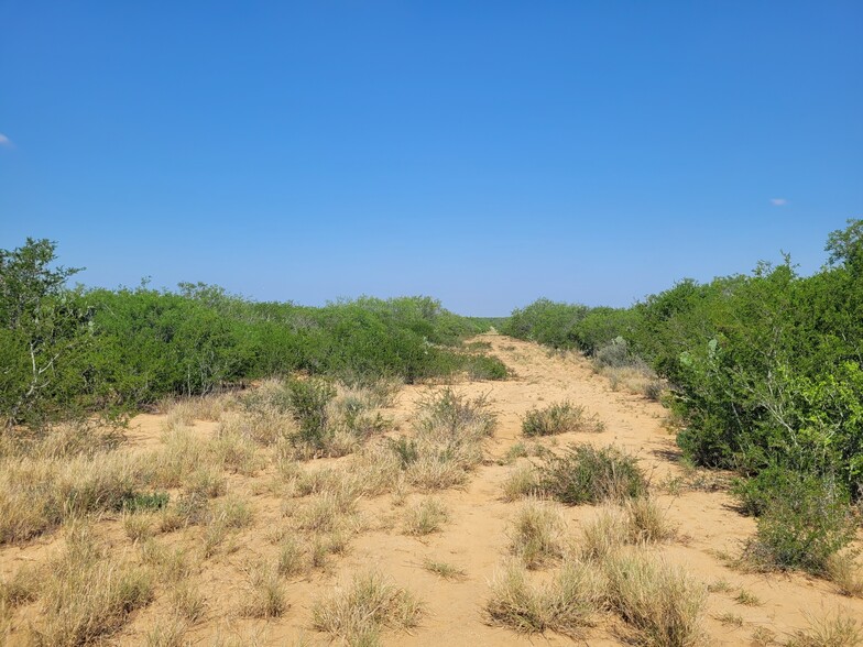 Terrain dans Laredo, TX à vendre - Autre - Image 2 de 29