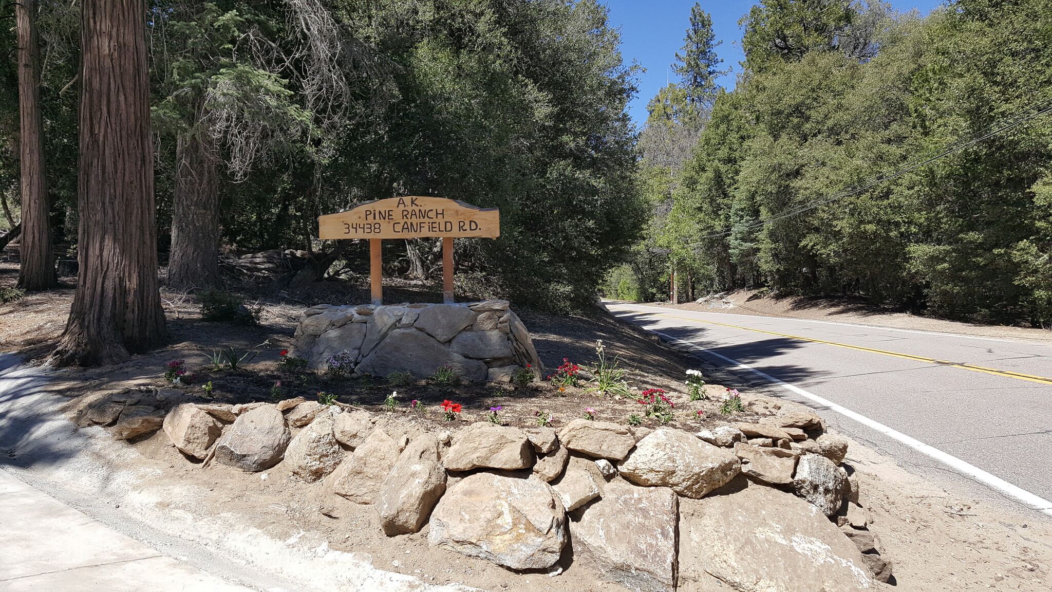 0 Canfield Rd, Palomar Mountain, CA à vendre Photo du bâtiment- Image 1 de 7