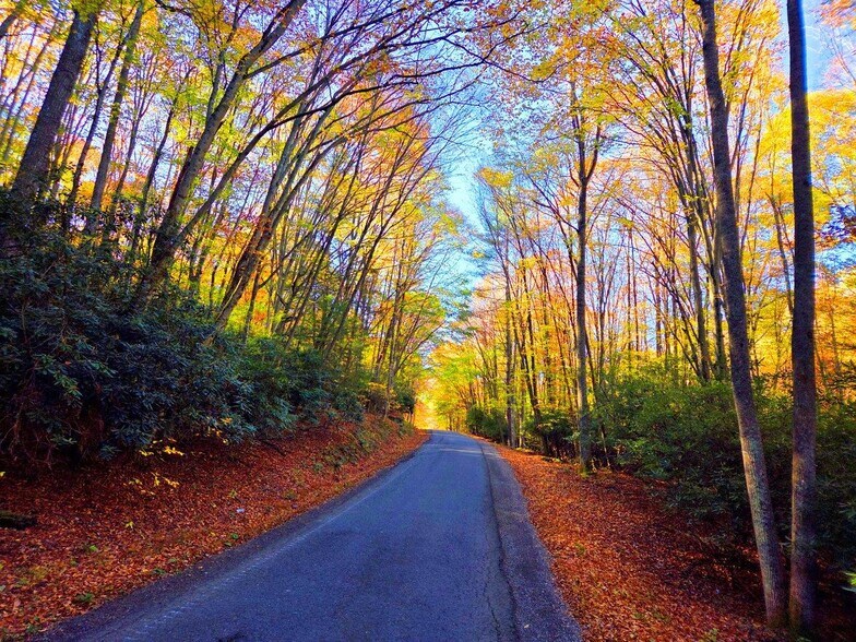 0 Old Pluto Rd, Shady Spring, WV for sale - Primary Photo - Image 1 of 33