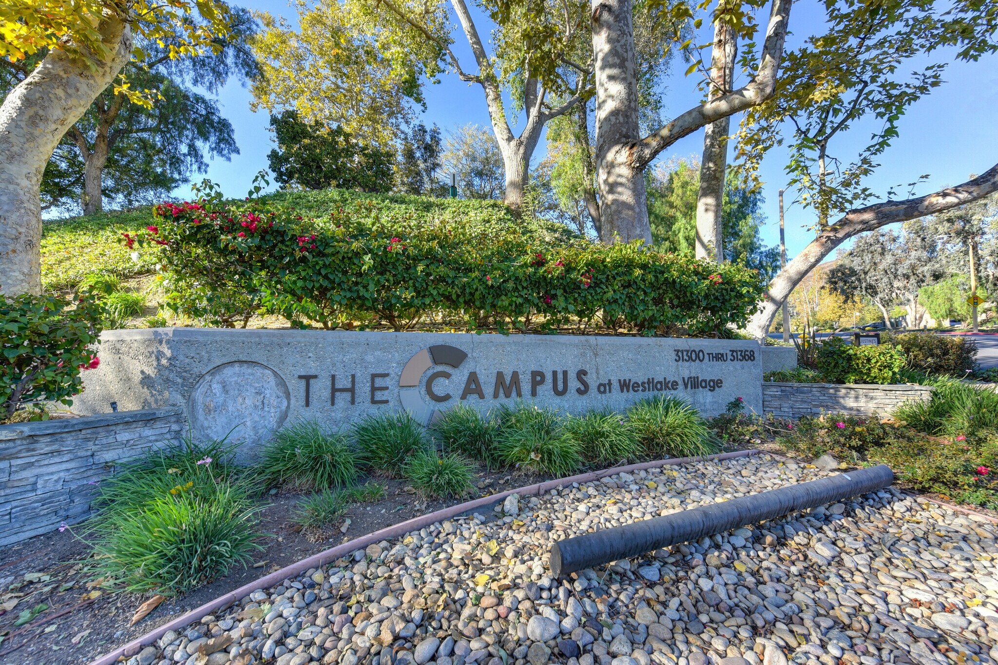 31304-31348 Via Colinas, Westlake Village, CA à louer Photo intérieure- Image 1 de 3
