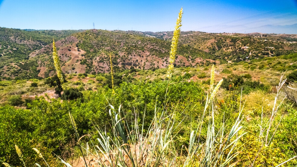 7099 E. Carbon Canyon Rd, Brea, CA for sale - Building Photo - Image 3 of 21