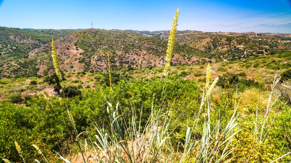 7099 E. Carbon Canyon Rd, Brea, CA à vendre - Photo du bâtiment - Image 3 de 21