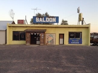 Plus de détails pour 1080 US-50, Silver Springs, NV - Commerce de détail à vendre