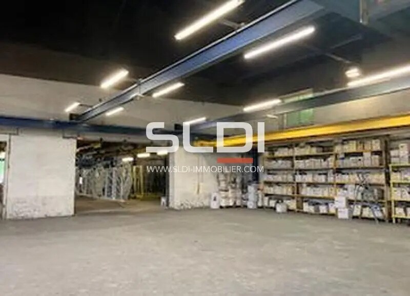 Flex in Neuville-sur-Saône for lease - Interior Photo - Image 3 of 3