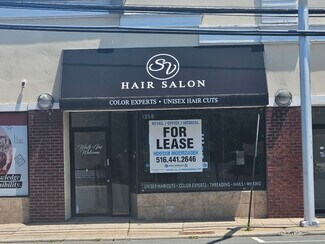 Plus de détails pour 1356 Willis Ave, Albertson, NY - Commerce de détail à louer