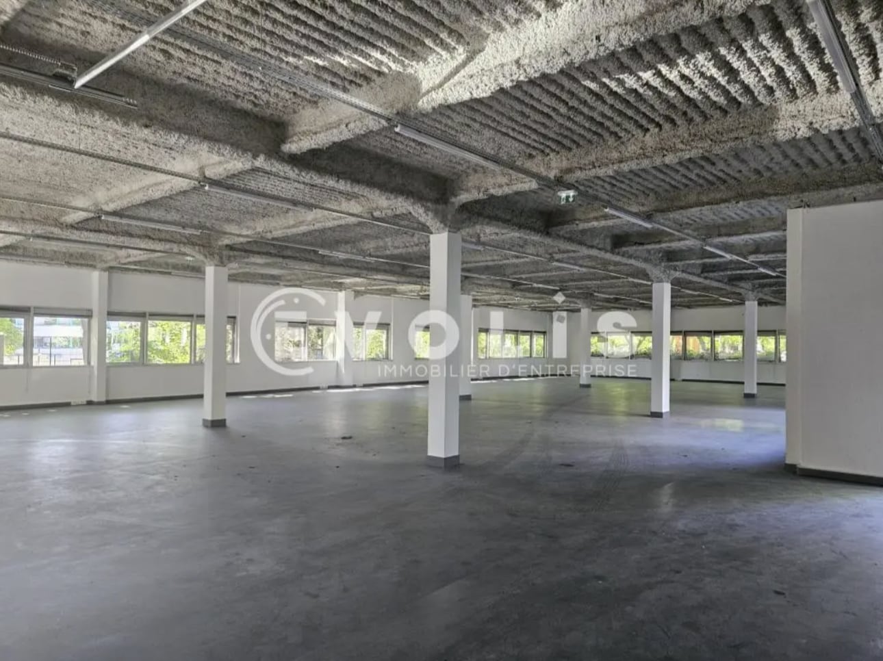 Flex in Les Ulis for lease Interior Photo- Image 1 of 14