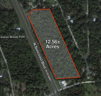 More details for 5551 Suncoast blvd, Crystal River, FL - Land for Sale