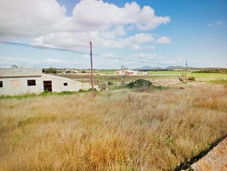 Land in Ses Salines, Islas Baleares for sale - Primary Photo - Image 2 of 3