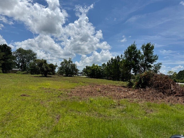 31215 Cometti Ln, Spanish Fort, AL à vendre - Autre - Image 2 de 5