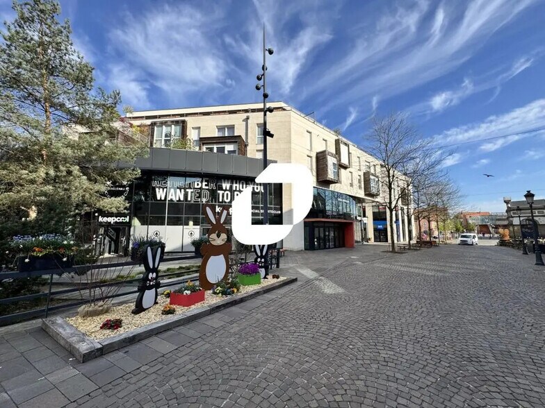 5 Cours De La Décapole, Haguenau for lease - Building Photo - Image 3 of 7