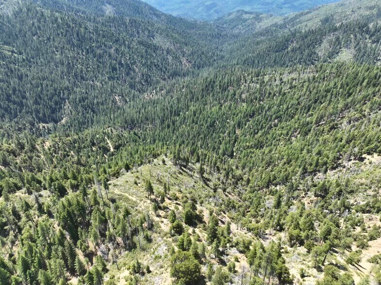 2510 Fs rd, Hyampom, CA à vendre - Photo du bâtiment - Image 3 de 6