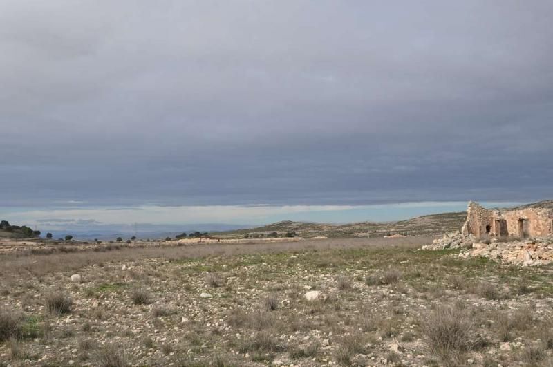 Terrain dans Jumilla, Murcia à vendre - Photo principale - Image 2 de 8