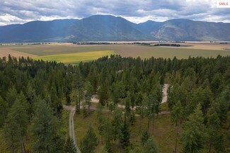 Plus de détails pour NNA New Chisholm, Bonners Ferry, ID - Terrain à vendre