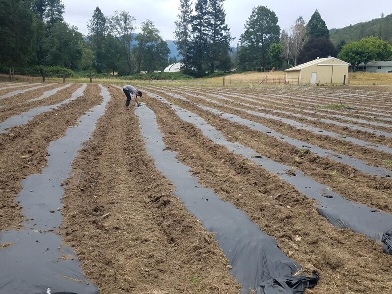 3311 Rogue River Hwy, Gold Hill, OR for lease - Building Photo - Image 2 of 12