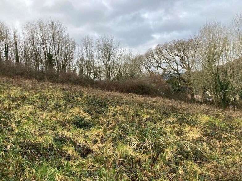 Milford Ln, Plymouth for sale - Building Photo - Image 3 of 6