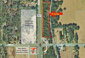 More details for 00 Hwy 301, Summerfield, FL - Land for Sale