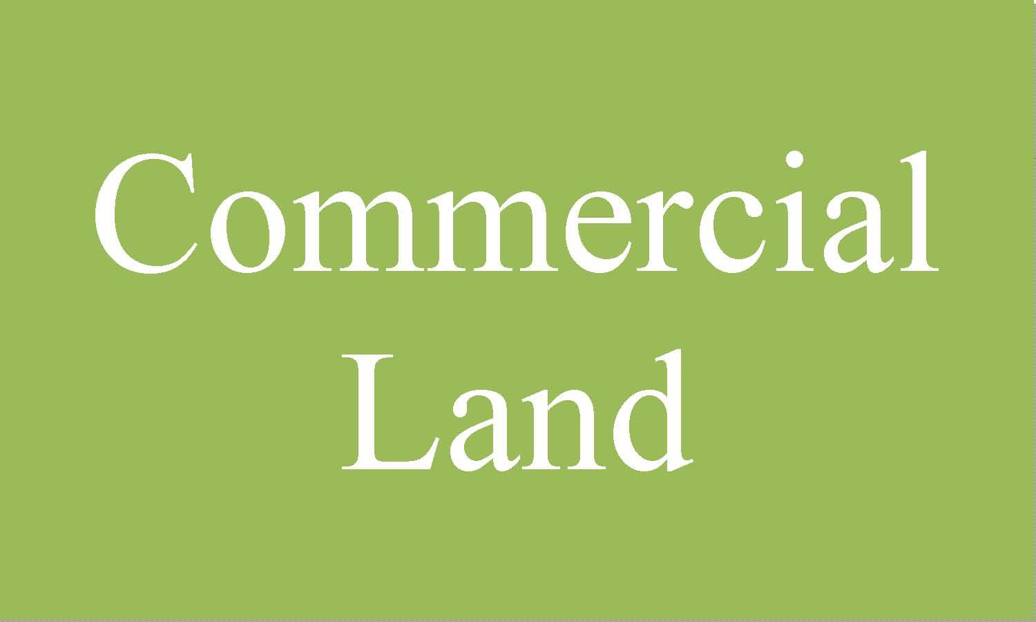 410 E 3rd St, Williamsport, PA à vendre Photo du bâtiment- Image 1 de 2