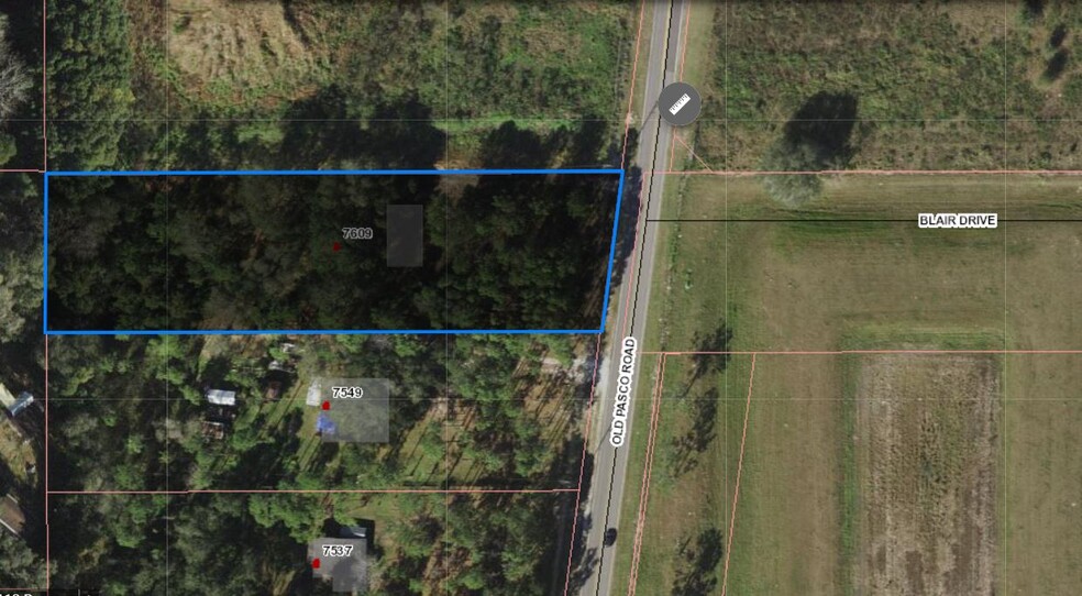 7609 Old Pasco Rd, Wesley Chapel, FL for sale - Building Photo - Image 2 of 3