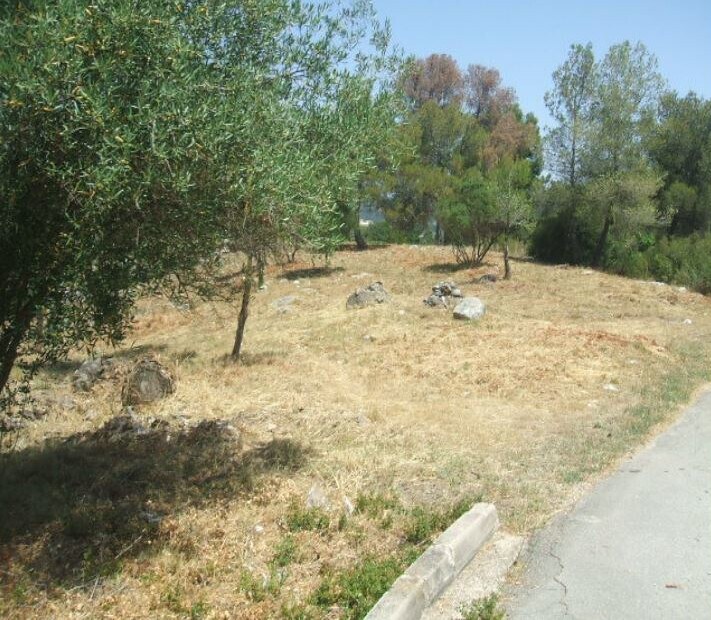 Terrain dans Subirats, Barcelona à vendre Photo principale- Image 1 de 5