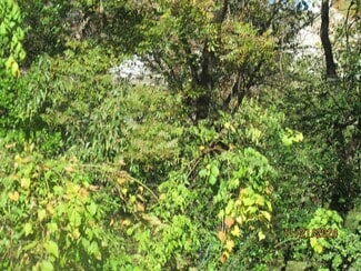 More details for 0 Club Manor, Maumelle, AR - Land for Sale