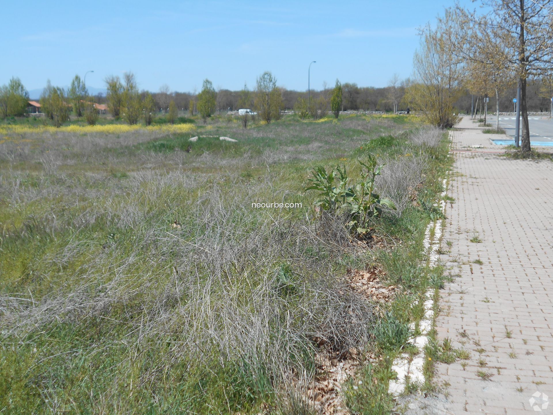 Land in Ávila, Ávila for sale Primary Photo- Image 1 of 12