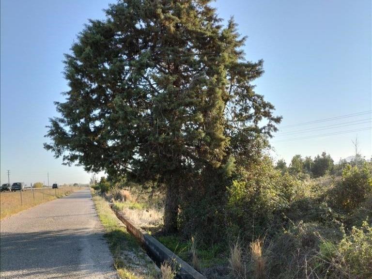 Land in Carcaixent, Valencia for lease Primary Photo- Image 1 of 9