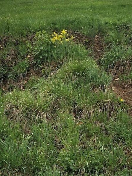 110 Ridge Rd, South Park, PA for sale - Primary Photo - Image 2 of 7