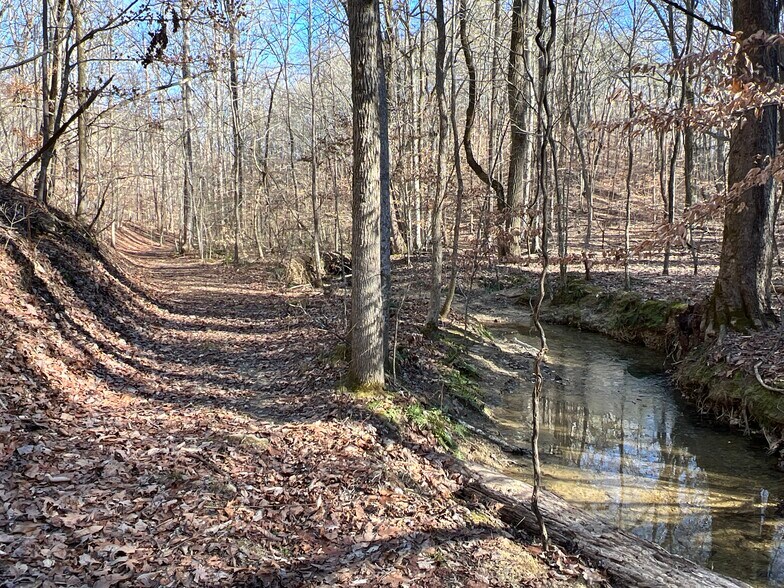 peachtree road, Rockmart, GA à vendre - Photo du b timent - Image 2 de 37