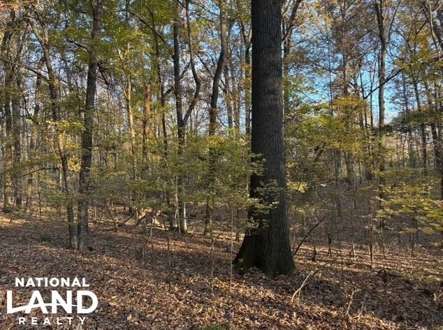 HWY 301, Horn Lake, MS for sale - Other - Image 3 of 7