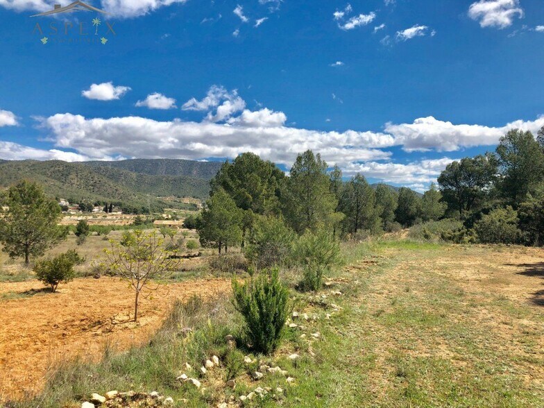 Terrain dans MONÒVER, Alicante à vendre - Aérien - Image 3 de 6