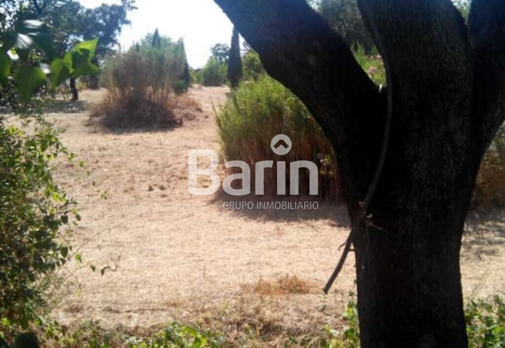 Land in Córdoba, Córdoba for sale Primary Photo- Image 1 of 6