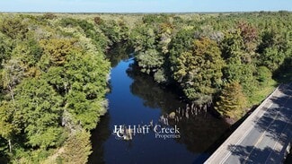 Plus de détails pour N Brewington Rd, Manning, SC - Terrain à vendre