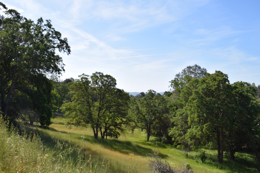 140 Hwy, Mariposa, CA à vendre - Photo du b timent - Image 1 de 1