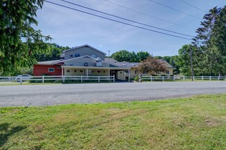 Plus de détails pour 160 Creamery Rd, Greenville, NY - Vente au détail à vendre