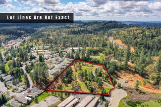 Plus de détails pour Whitcomb Ave, Colfax, CA - Terrain à vendre