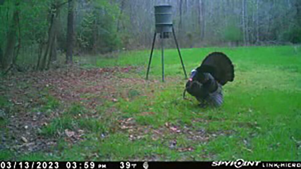 2030 Longwood rd, Columbia, SC for sale - Building Photo - Image 3 of 7