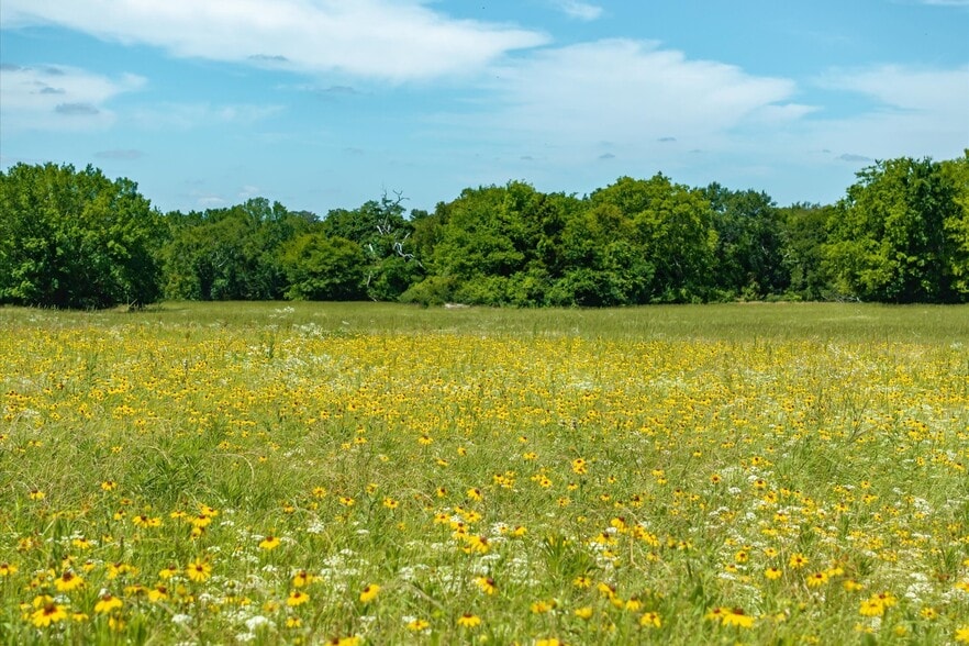 State Hwy 19 & CR 1150, Emory, TX for sale - Other - Image 3 of 19
