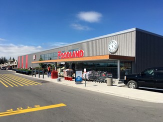 Plus de détails pour 249 St Catharines St, Smithville, ON - Local commercial à louer