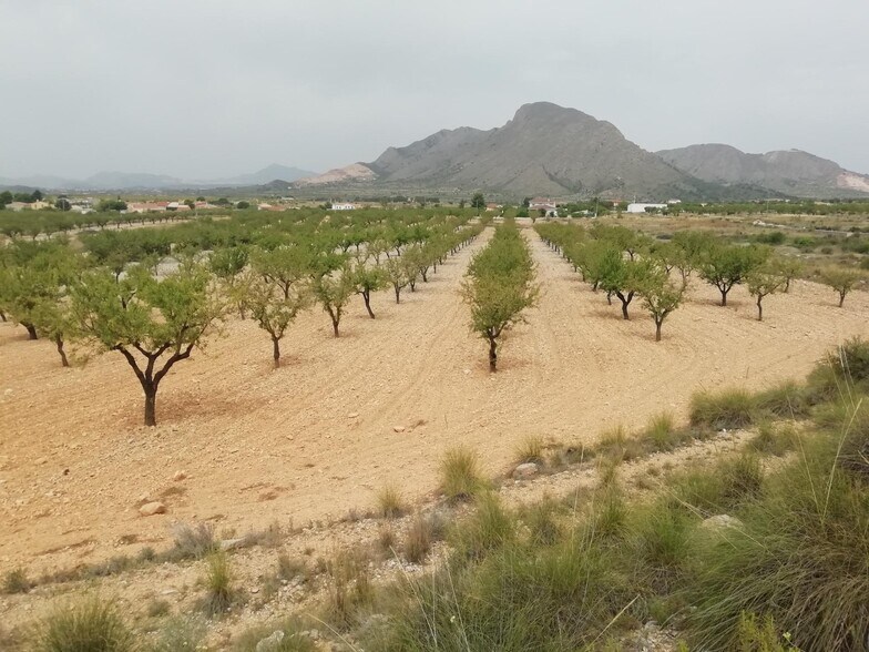 Terrain dans Orihuela, Alicante à vendre - Aérien - Image 2 de 3