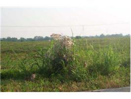 Boone Station Rd, Shelbyville, KY for sale Primary Photo- Image 1 of 1