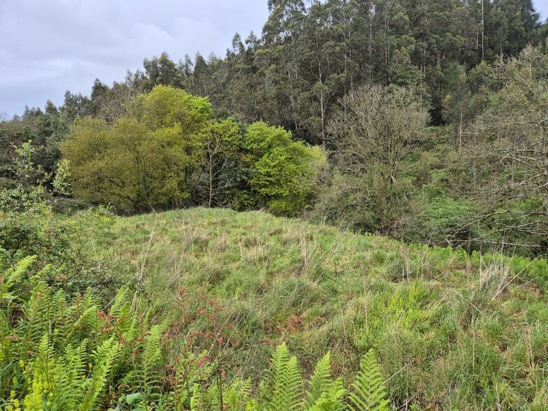 Barrio Cuto, 6, Carreño, Asturias for sale - Site Plan - Image 1 of 7