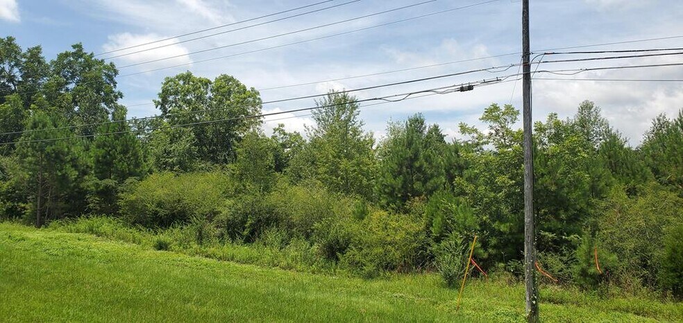 Terrain dans Dothan, AL à vendre - Autre - Image 1 de 6